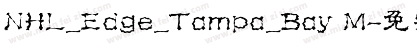 NHL_Edge_Tampa_Bay M字体转换